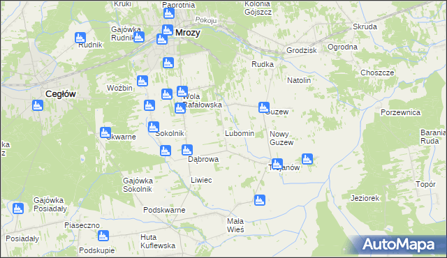 mapa Lubomin gmina Mrozy, Lubomin gmina Mrozy na mapie Targeo