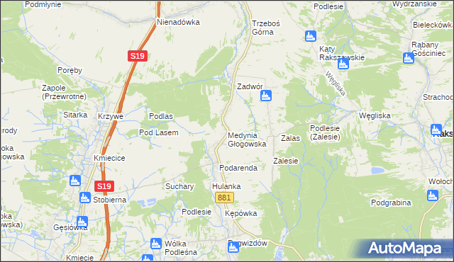 mapa Medynia Głogowska, Medynia Głogowska na mapie Targeo