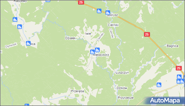 mapa Międzybórz gmina Rzeczenica, Międzybórz gmina Rzeczenica na mapie Targeo