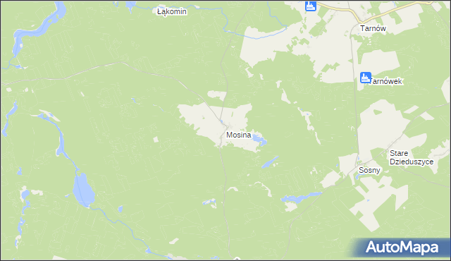 mapa Mosina gmina Witnica, Mosina gmina Witnica na mapie Targeo