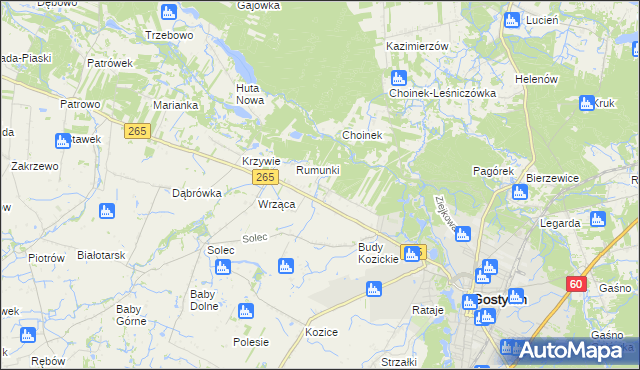 mapa Nagodów gmina Gostynin, Nagodów gmina Gostynin na mapie Targeo