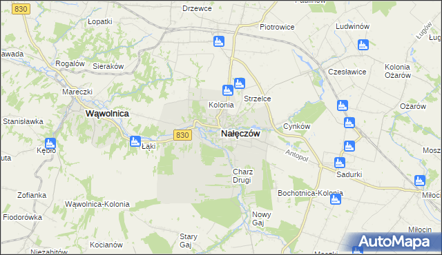 mapa Nałęczów powiat puławski, Nałęczów powiat puławski na mapie Targeo