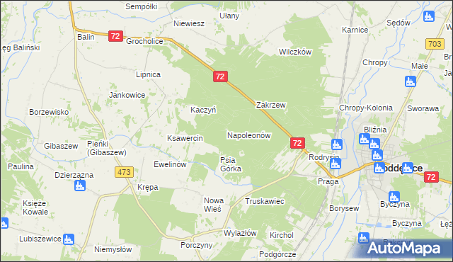 mapa Napoleonów gmina Poddębice, Napoleonów gmina Poddębice na mapie Targeo