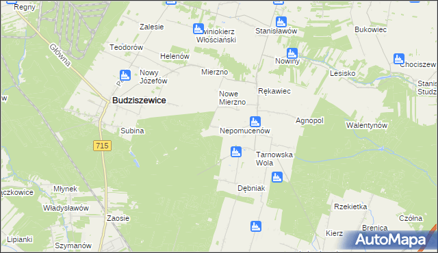 mapa Nepomucenów gmina Budziszewice, Nepomucenów gmina Budziszewice na mapie Targeo