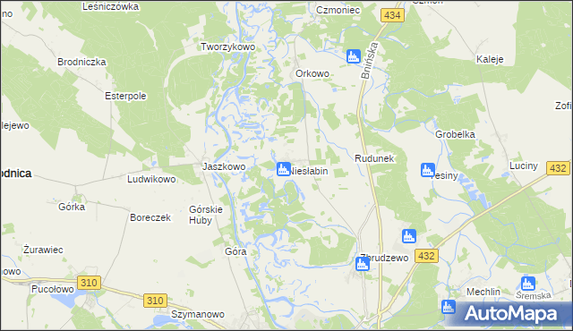 mapa Niesłabin, Niesłabin na mapie Targeo