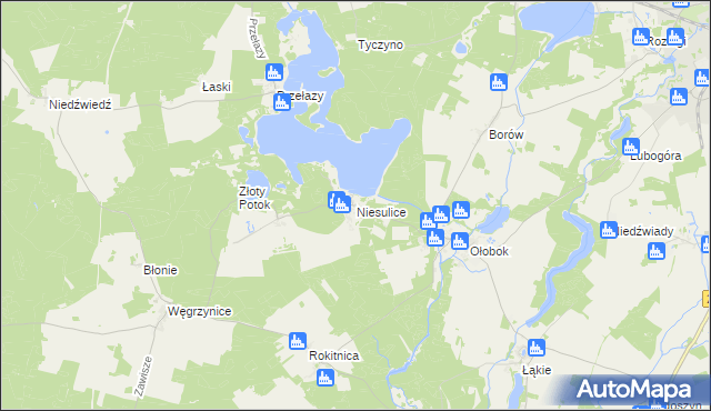mapa Niesulice, Niesulice na mapie Targeo