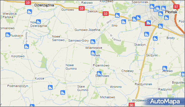 mapa Niwa gmina Dzierzążnia, Niwa gmina Dzierzążnia na mapie Targeo