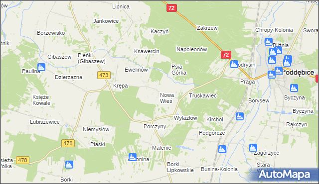 mapa Nowa Wieś gmina Poddębice, Nowa Wieś gmina Poddębice na mapie Targeo