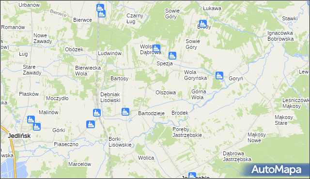 mapa Olszowa gmina Jastrzębia, Olszowa gmina Jastrzębia na mapie Targeo