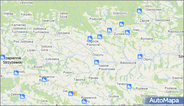 mapa Olszyny gmina Rzepiennik Strzyżewski, Olszyny gmina Rzepiennik Strzyżewski na mapie Targeo