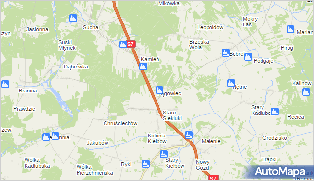 mapa Pągowiec gmina Stara Błotnica, Pągowiec gmina Stara Błotnica na mapie Targeo