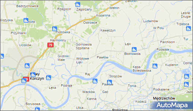 mapa Pawłów gmina Nowy Korczyn, Pawłów gmina Nowy Korczyn na mapie Targeo