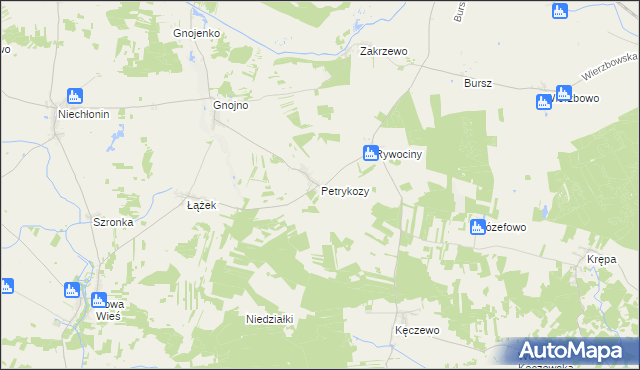 mapa Petrykozy gmina Działdowo, Petrykozy gmina Działdowo na mapie Targeo