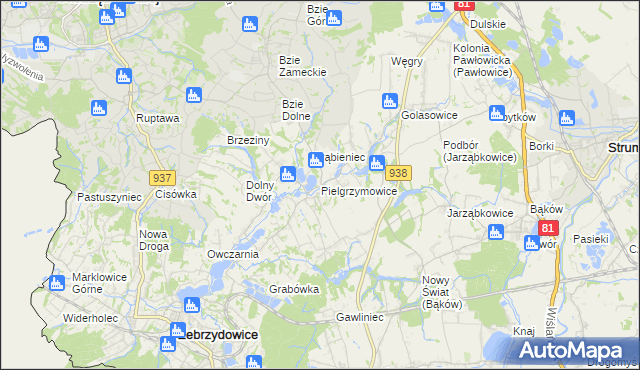 mapa Pielgrzymowice gmina Pawłowice, Pielgrzymowice gmina Pawłowice na mapie Targeo