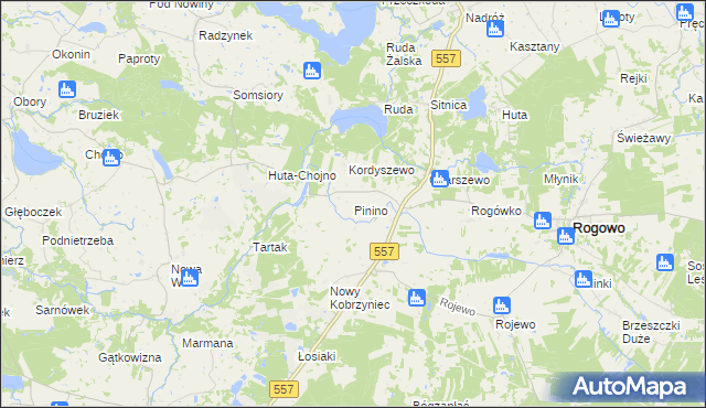 mapa Pinino gmina Rogowo, Pinino gmina Rogowo na mapie Targeo