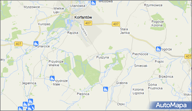 mapa Puszyna, Puszyna na mapie Targeo