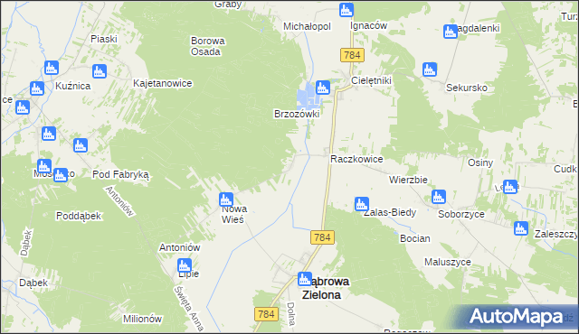 mapa Raczkowice-Kolonia, Raczkowice-Kolonia na mapie Targeo