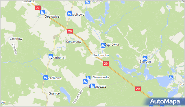 mapa Radomicko gmina Maszewo, Radomicko gmina Maszewo na mapie Targeo