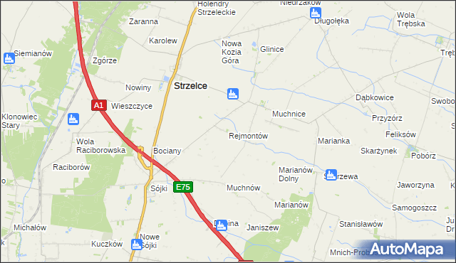 mapa Rejmontów, Rejmontów na mapie Targeo