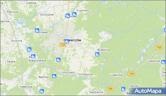 mapa Rogówek gmina Gowarczów, Rogówek gmina Gowarczów na mapie Targeo