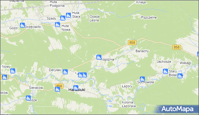 mapa Rogóźnia gmina Harasiuki, Rogóźnia gmina Harasiuki na mapie Targeo