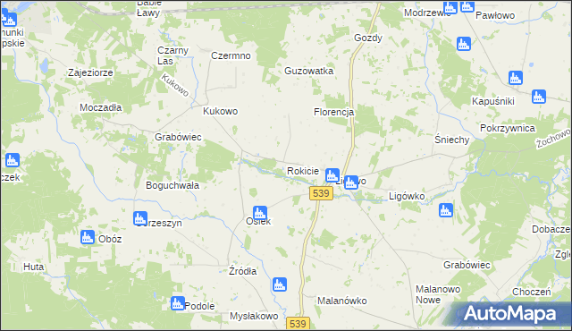 mapa Rokicie gmina Mochowo, Rokicie gmina Mochowo na mapie Targeo