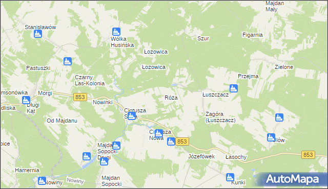 mapa Róża gmina Susiec, Róża gmina Susiec na mapie Targeo