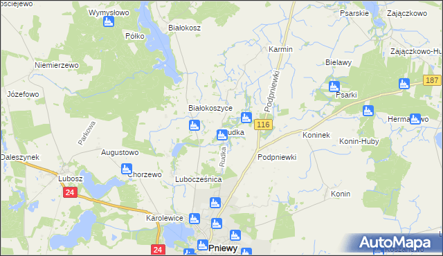 mapa Rudka gmina Pniewy, Rudka gmina Pniewy na mapie Targeo