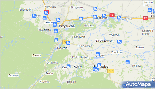 mapa Ruszkowice gmina Borkowice, Ruszkowice gmina Borkowice na mapie Targeo