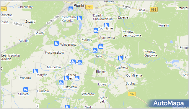 mapa Sałki gmina Pionki, Sałki gmina Pionki na mapie Targeo