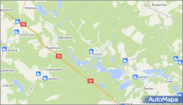 mapa Skórzyn gmina Maszewo, Skórzyn gmina Maszewo na mapie Targeo