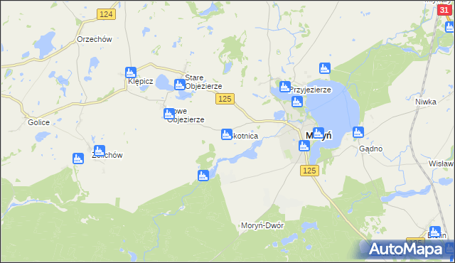 mapa Skotnica gmina Moryń, Skotnica gmina Moryń na mapie Targeo