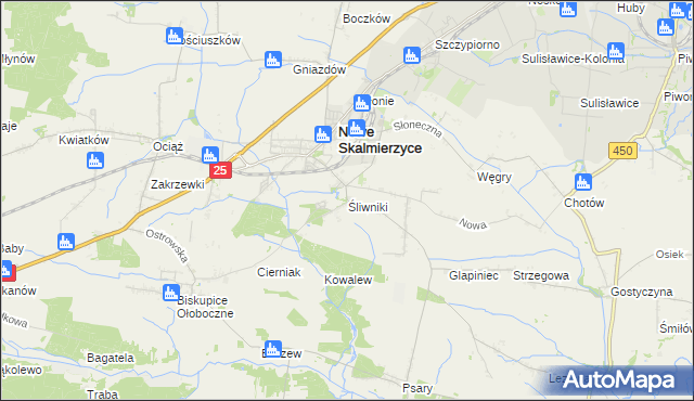 mapa Śliwniki gmina Nowe Skalmierzyce, Śliwniki gmina Nowe Skalmierzyce na mapie Targeo