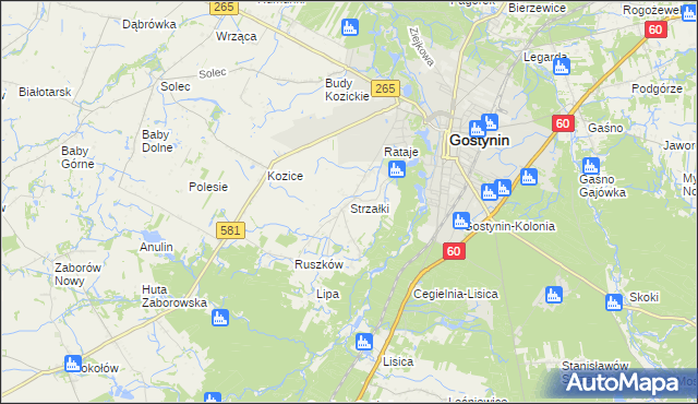 mapa Strzałki gmina Gostynin, Strzałki gmina Gostynin na mapie Targeo