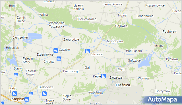 mapa Strzelce gmina Oleśnica, Strzelce gmina Oleśnica na mapie Targeo
