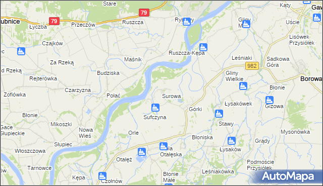 mapa Surowa gmina Borowa, Surowa gmina Borowa na mapie Targeo