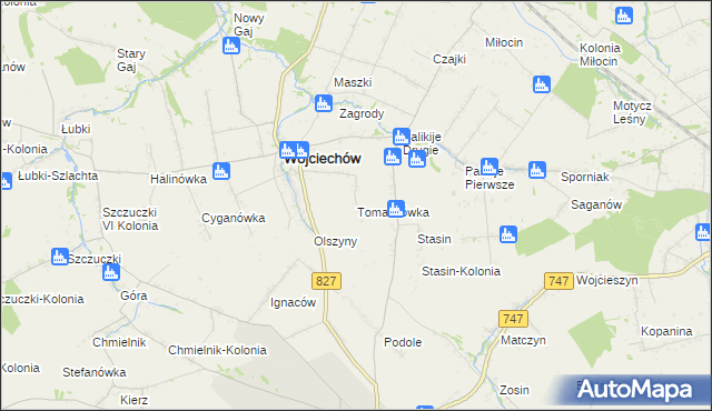 mapa Tomaszówka gmina Wojciechów, Tomaszówka gmina Wojciechów na mapie Targeo