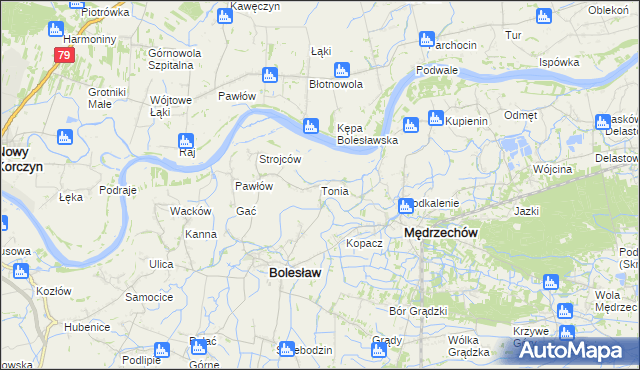 mapa Tonia gmina Bolesław, Tonia gmina Bolesław na mapie Targeo