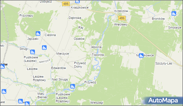 mapa Toporów gmina Wierzchlas, Toporów gmina Wierzchlas na mapie Targeo