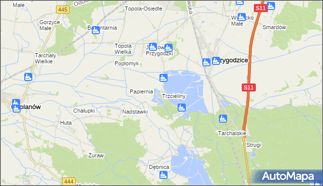 mapa Trzcieliny gmina Przygodzice, Trzcieliny gmina Przygodzice na mapie Targeo