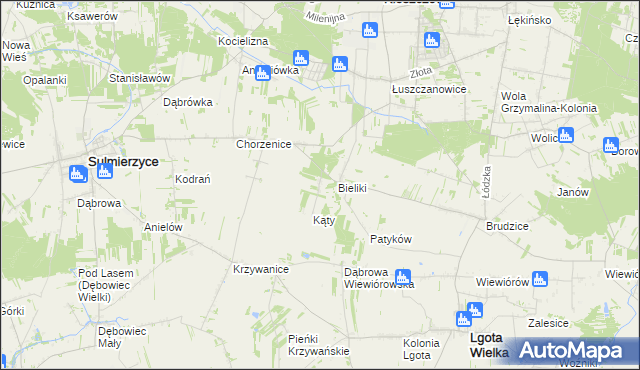 mapa Trzciniec gmina Sulmierzyce, Trzciniec gmina Sulmierzyce na mapie Targeo