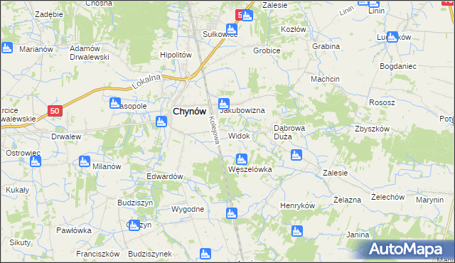 mapa Widok gmina Chynów, Widok gmina Chynów na mapie Targeo