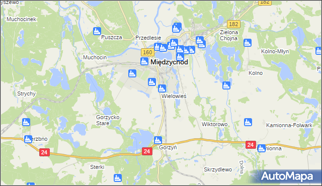 mapa Wielowieś gmina Międzychód, Wielowieś gmina Międzychód na mapie Targeo