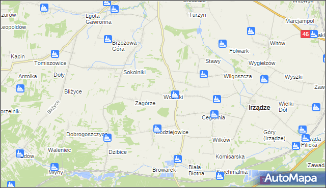 mapa Woźniki gmina Irządze, Woźniki gmina Irządze na mapie Targeo