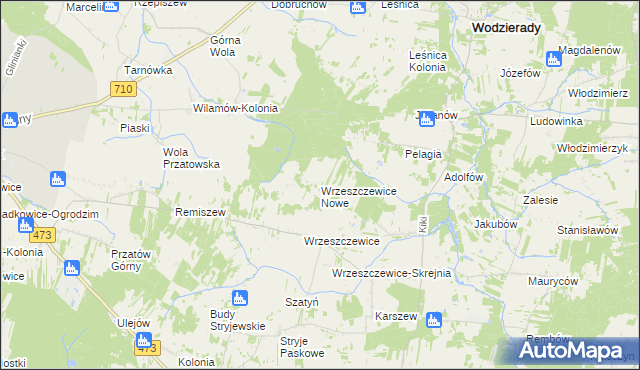 mapa Wrzeszczewice Nowe, Wrzeszczewice Nowe na mapie Targeo