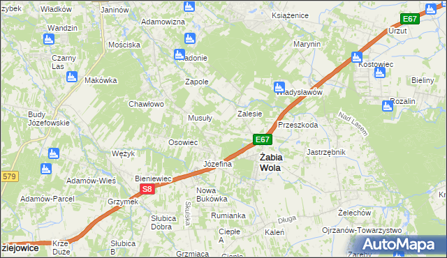mapa Wycinki Osowskie, Wycinki Osowskie na mapie Targeo