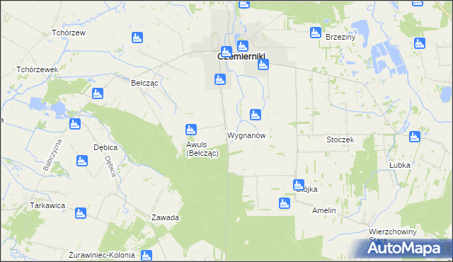 mapa Wygnanów gmina Czemierniki, Wygnanów gmina Czemierniki na mapie Targeo