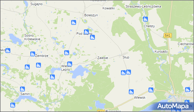 mapa Zalesie gmina Lidzbark, Zalesie gmina Lidzbark na mapie Targeo