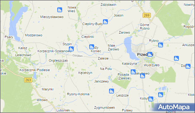 mapa Zalesie gmina Przedecz, Zalesie gmina Przedecz na mapie Targeo