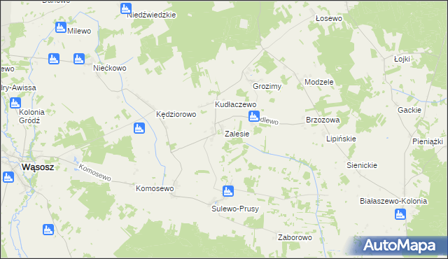 mapa Zalesie gmina Wąsosz, Zalesie gmina Wąsosz na mapie Targeo
